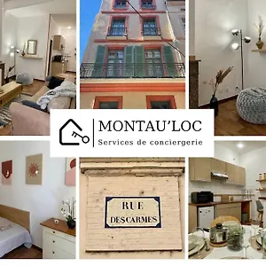Appartement Le Carme, Au Centre Historique, Montauban